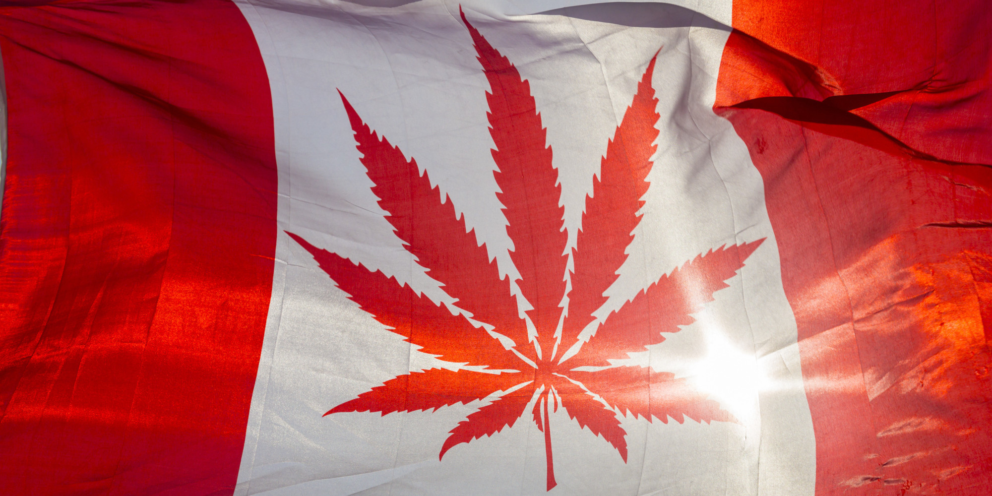 Canada Just Legalized Recreational Cannabis Use