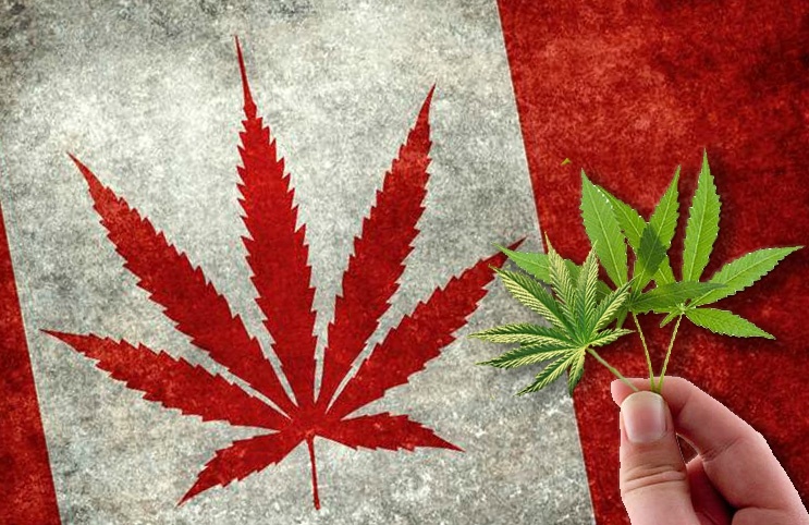 Canada Becomes First G7 Country To Legalize Weed