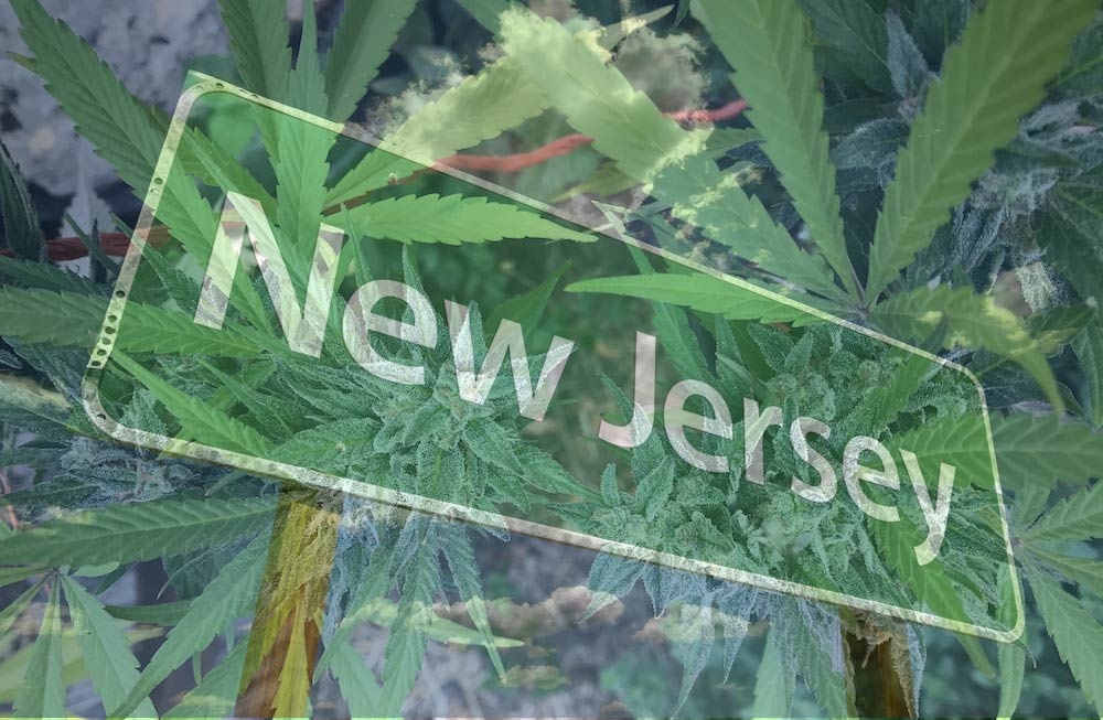 NJ Is One Step Closer to Recreational Marijuana