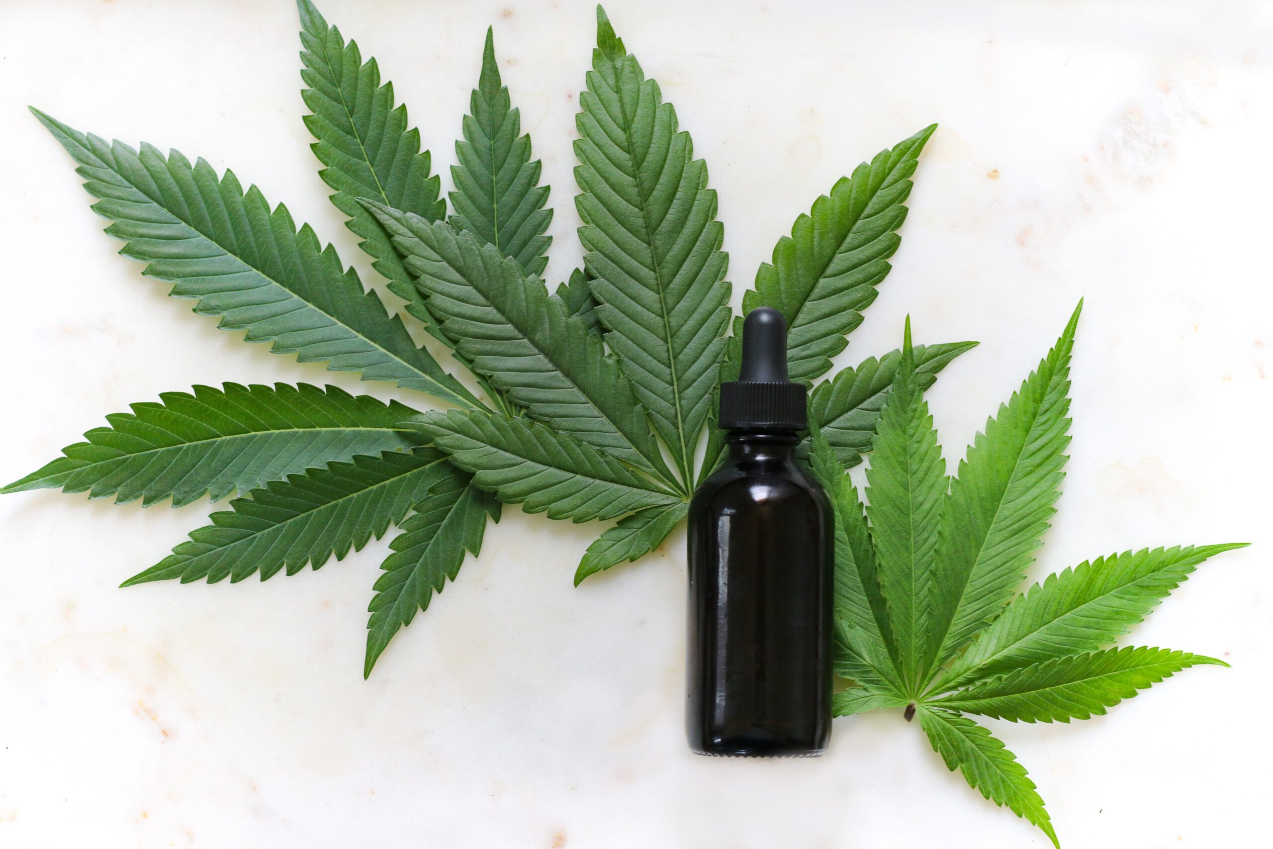 Full-Spectrum Hemp Oil vs CBD