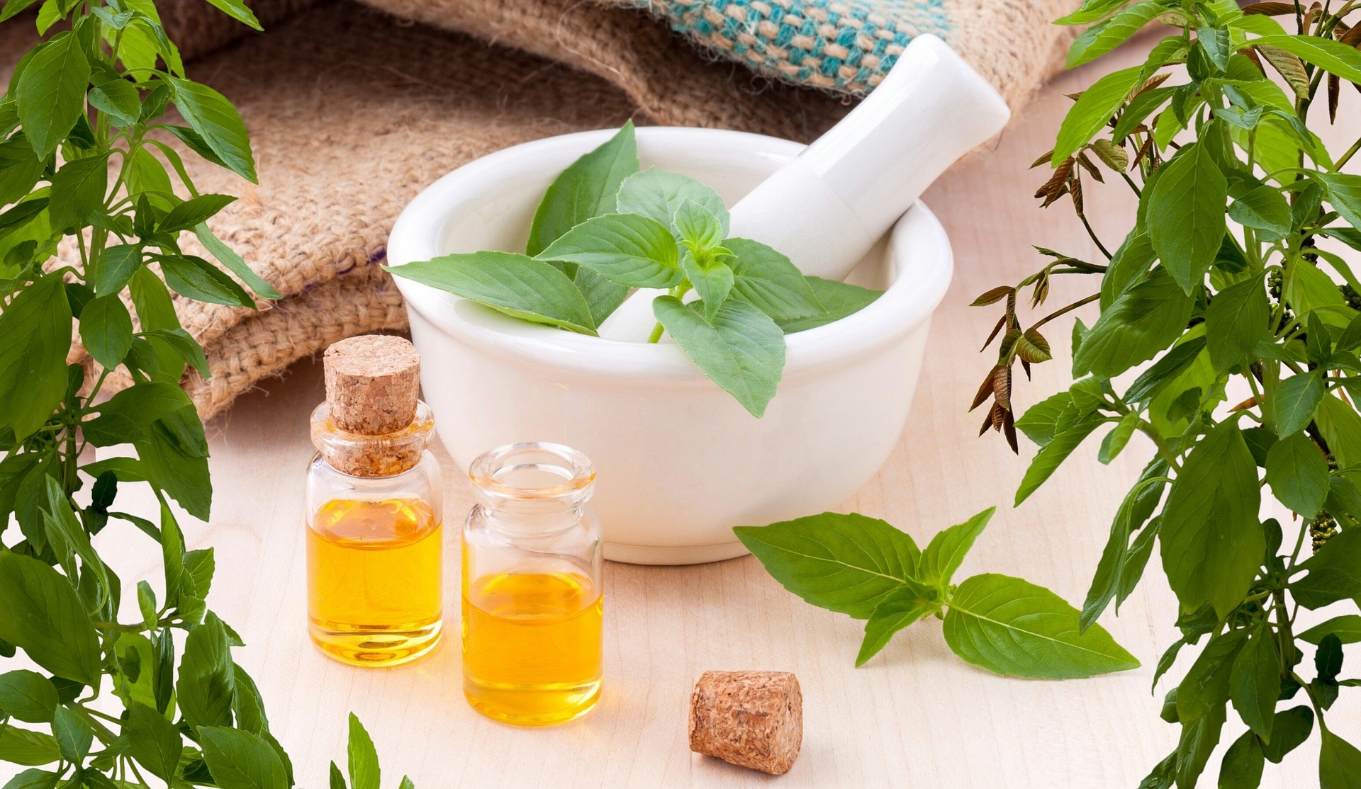 Are Herbal Remedies The Real Deal? Can They Work For Anxiety?