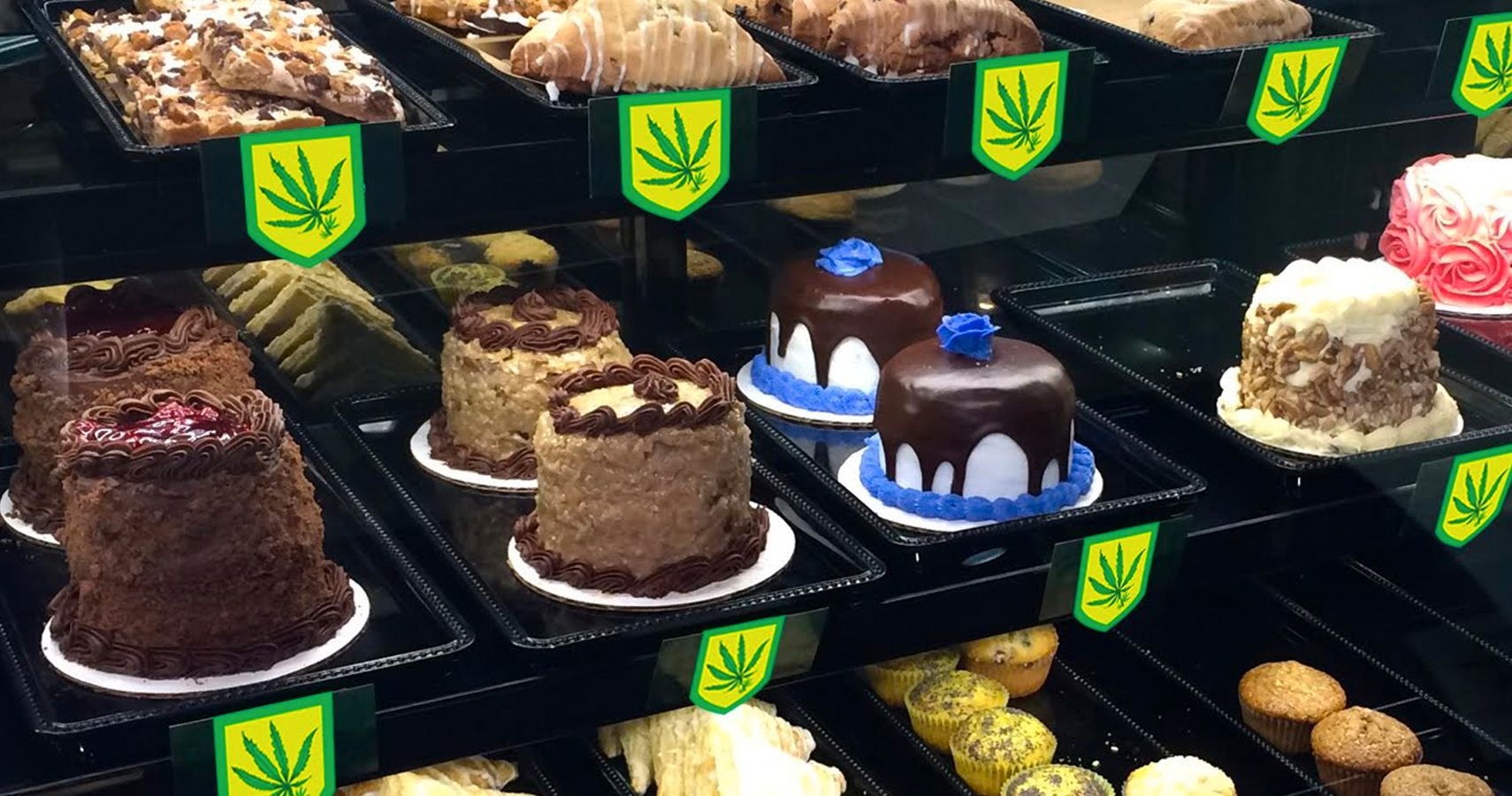 Florida Adds Edibles To Medical Dispensaries!