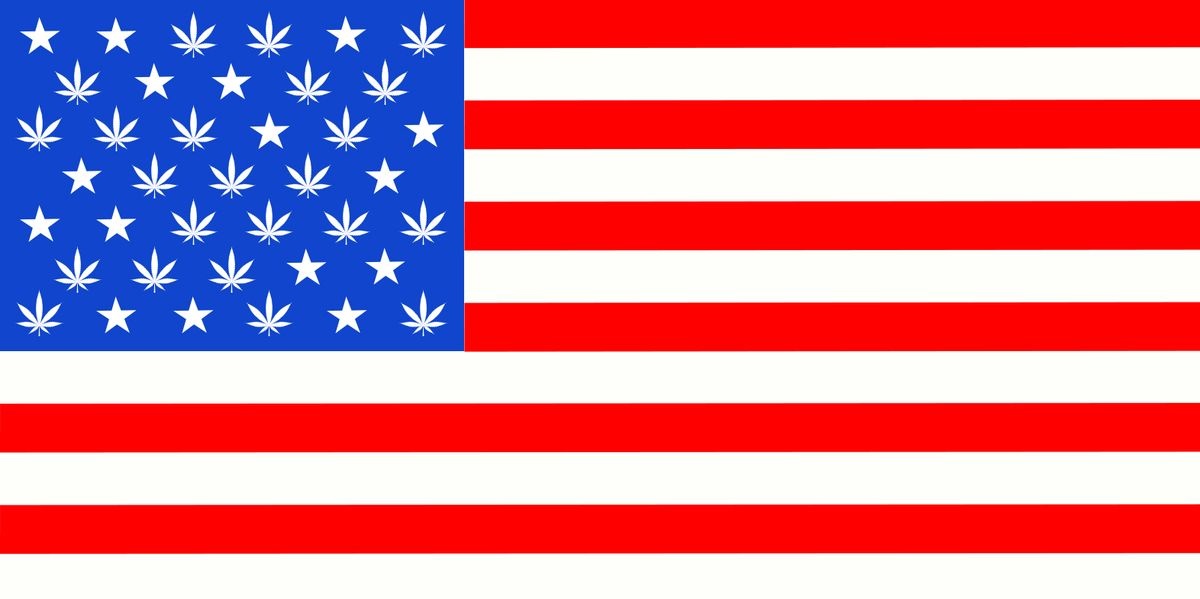 Cannabis Legalization Wins Big At The Ballot​!