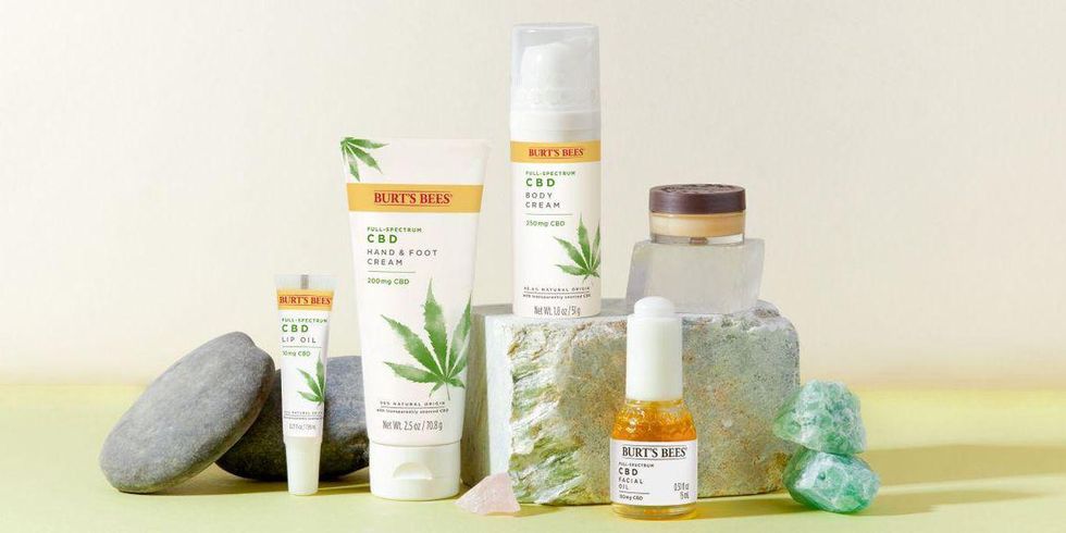 CBD Burt's Bees