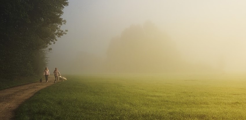 Walk This Way - How Nightly Strolls Can Brighten Your Life