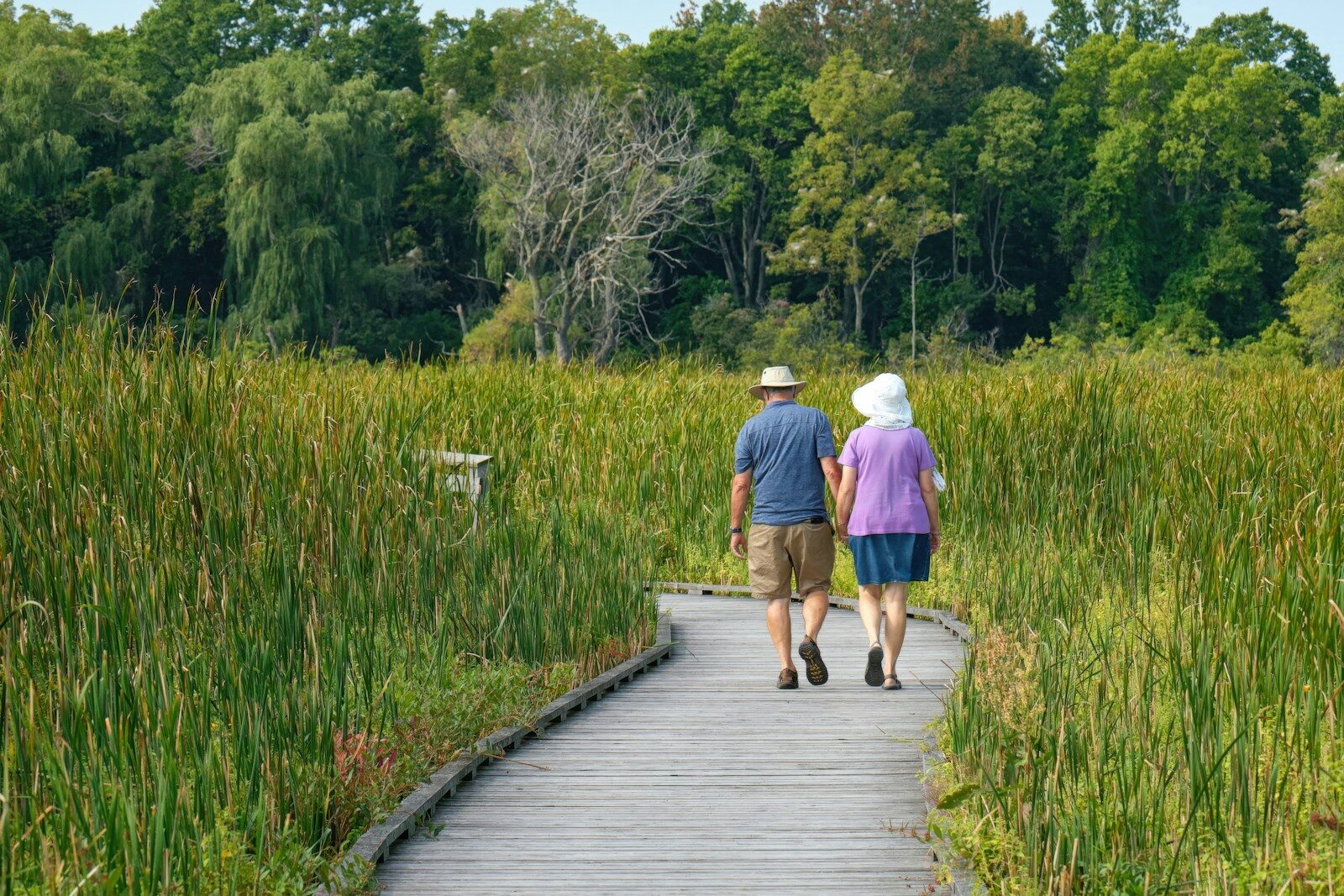 How To Improve Your Healthspan And Slow Biological Aging